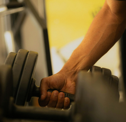 Free Weights & Strength